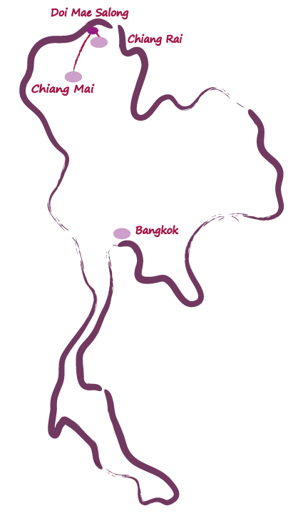carte triangle d or et chiang mai