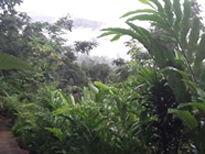 Mae Wang Lodge Nature Mae Wang Lodge 2