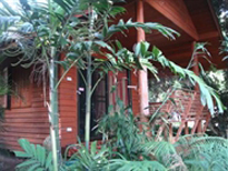 Mae Wang Lodge